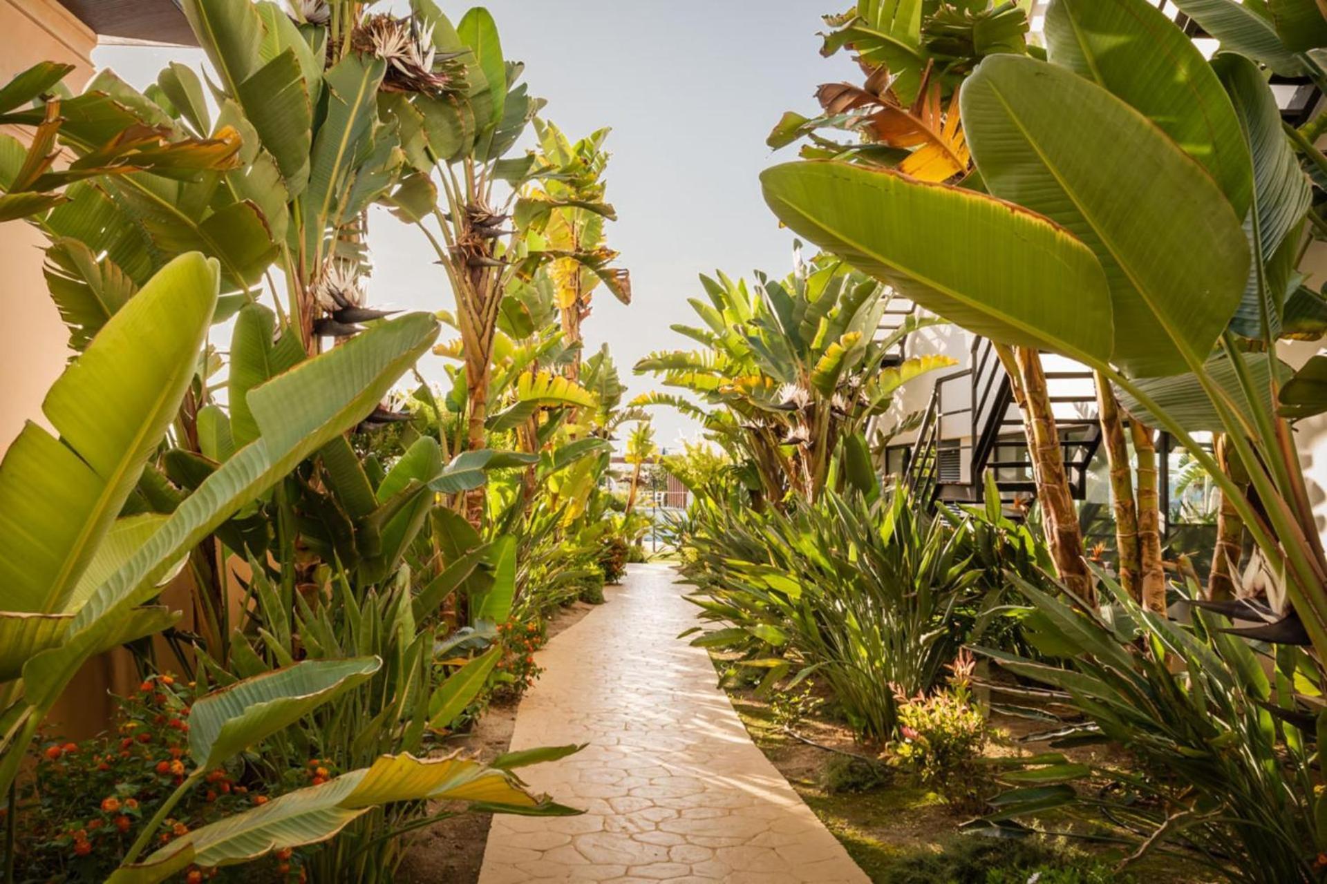 Alegria Palacio Mojacar - Adults Only Luaran gambar